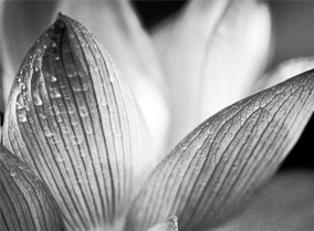 渠道货源稳定的不停给对方打电话的软件