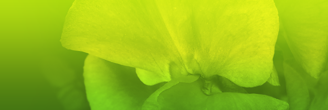 短信压力测试器免费网页版